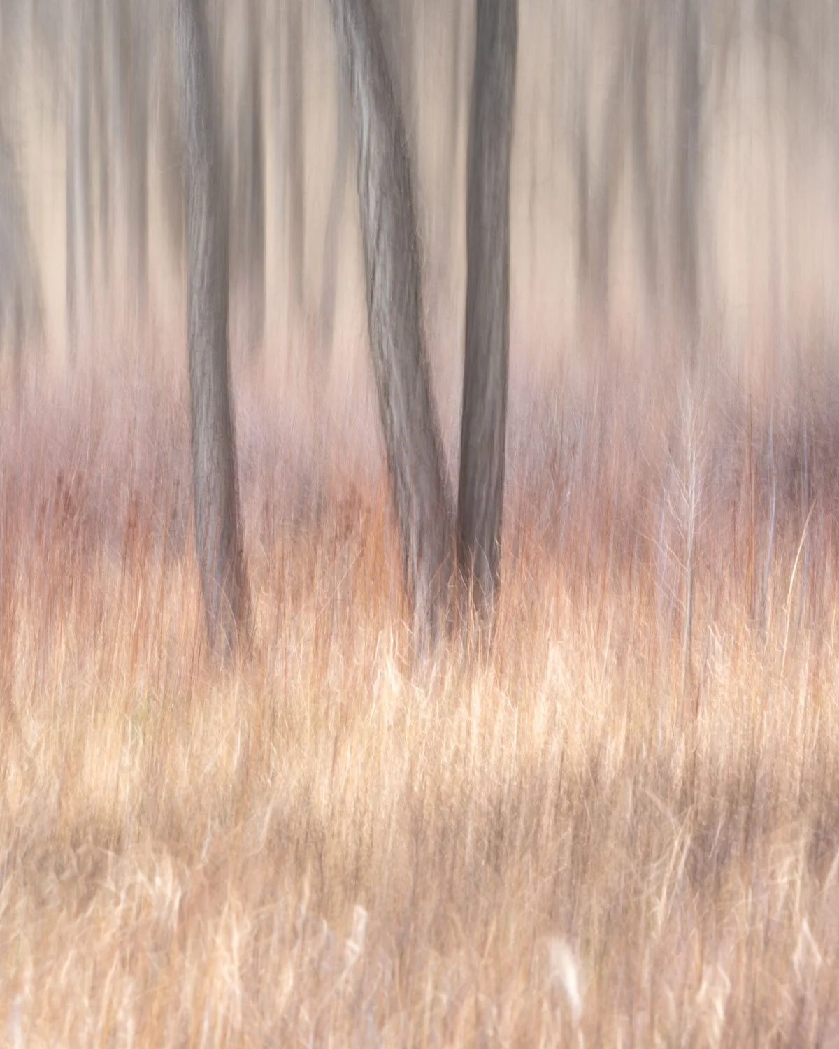 Alfredo Mora Photography — How ICM Photography Affects My
